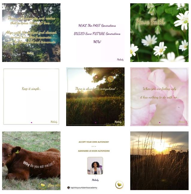 Instagram feed Visionary Speakers Events
